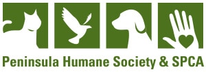 BA - Peninsula Humane Society _ SPCA