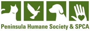 BA - Peninsula Humane Society _ SPCA BA - Peninsula Humane Society _ SPCA